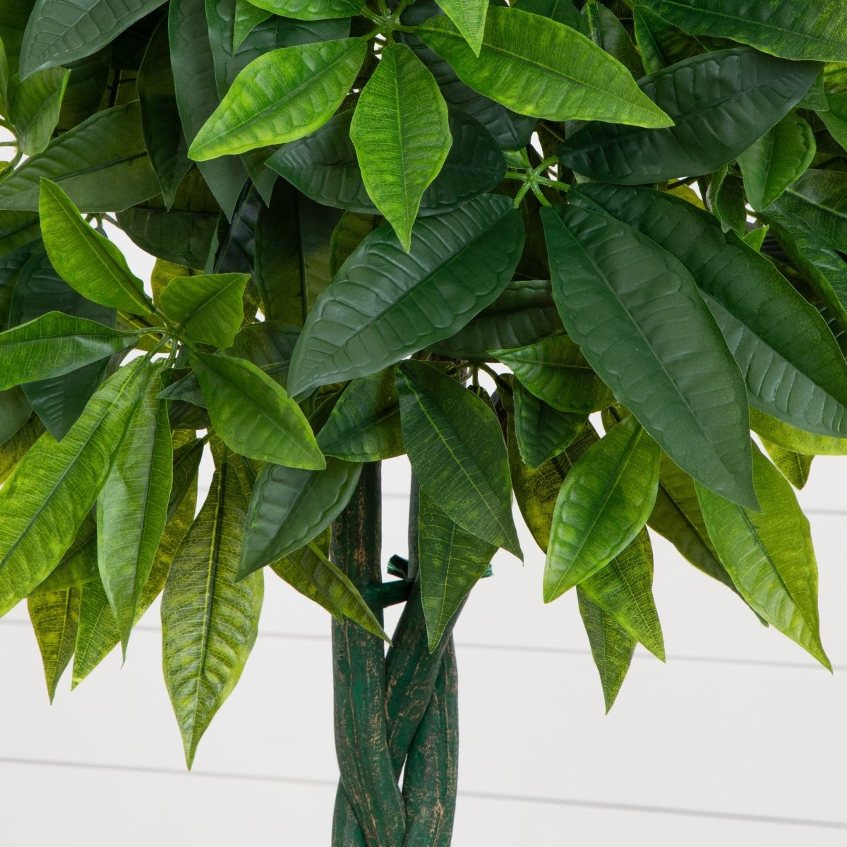 5.5' Artificial Money Tree in Gray Cylinder Planter (Real Touch) - Ed's Plant Shop