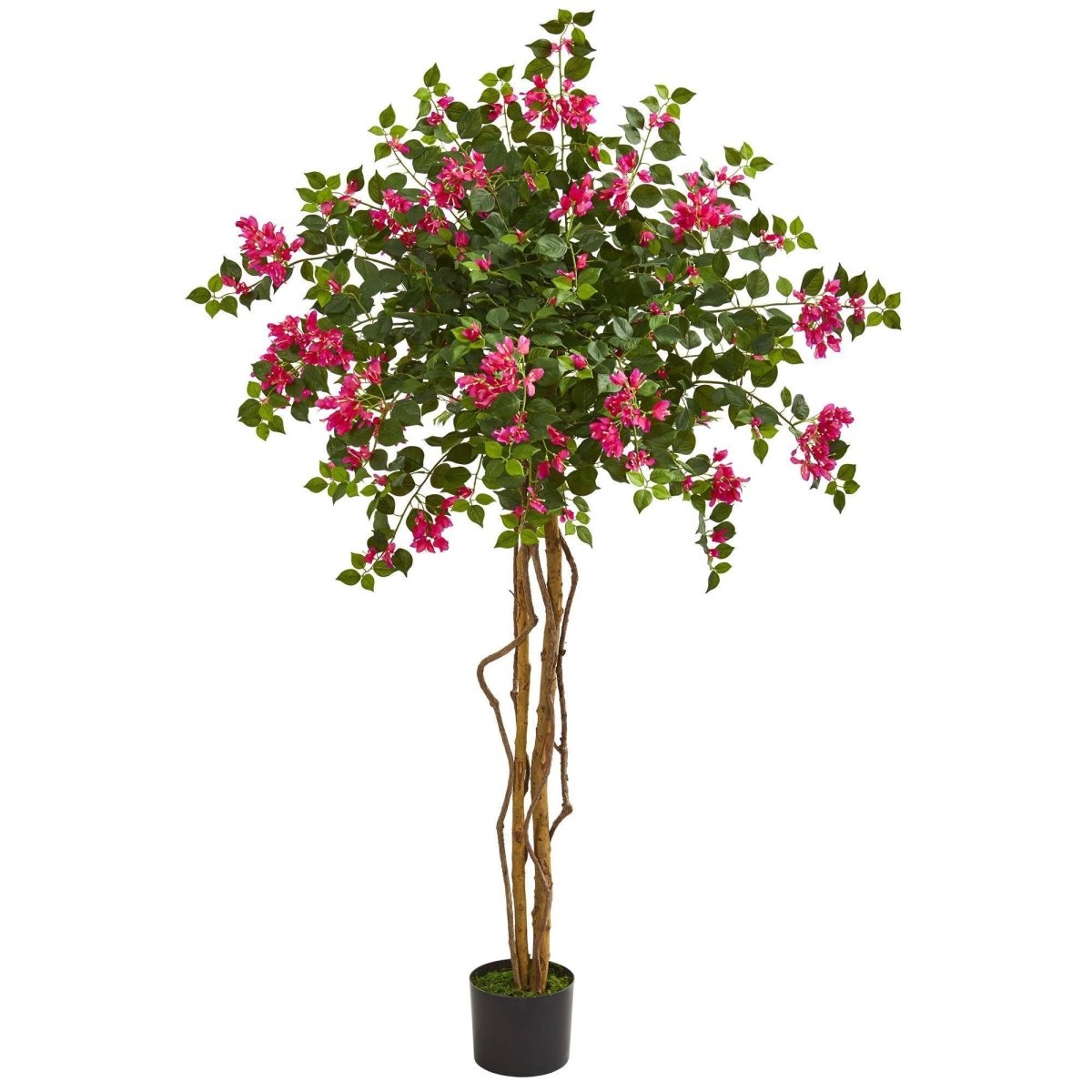 5.5’ Bougainvillea Artificial Tree | Unique Double - Trunk Design - Ed's Plant Shop