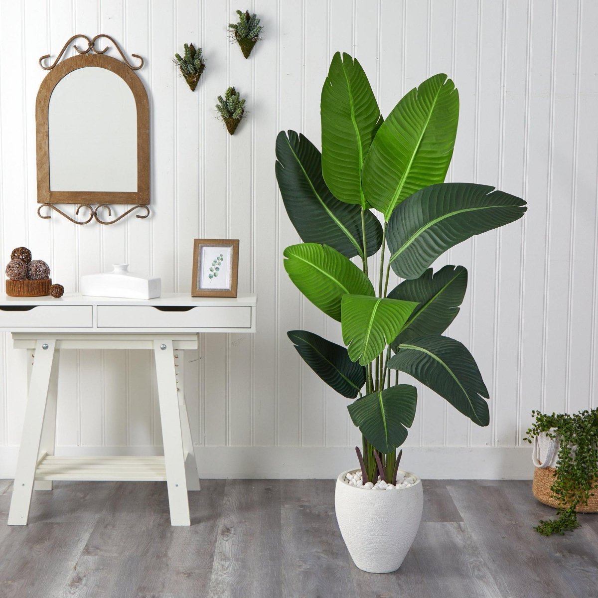 5.5’ Travelers Palm Artificial Tree in White Planter - Ed's Plant Shop