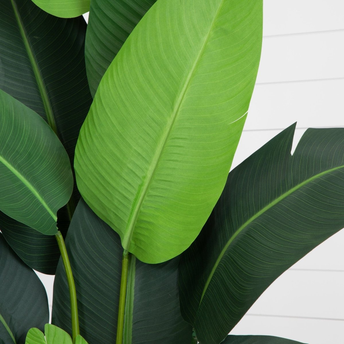 7′ DIY Traveler’s Palm Artificial Tree Kit in Woven Planter - Ed's Plant Shop