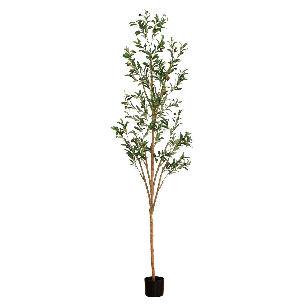 7 - ft Artificial Olive Tree with Natural Trunk - Ed's Plant Shop
