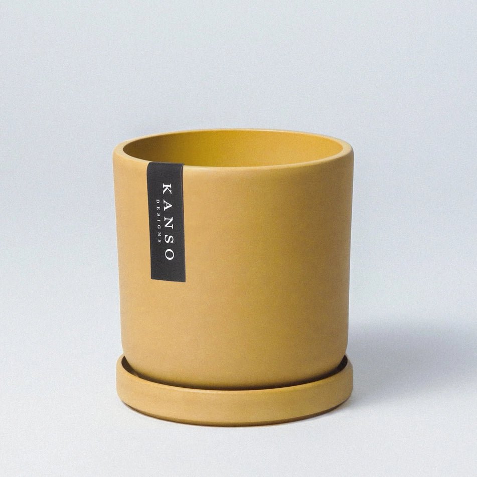 7 Inch Upcycled Signature Stone Planter Pot & Saucer - Ed's Plant Shop