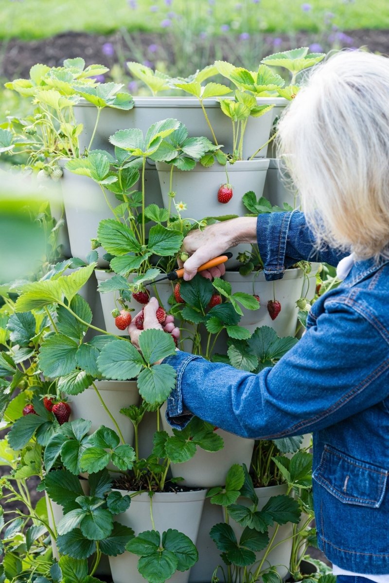 7 Tier GreenStalk Garden Leaf Vertical Planter - Basic Texture - Ed's Plant Shop