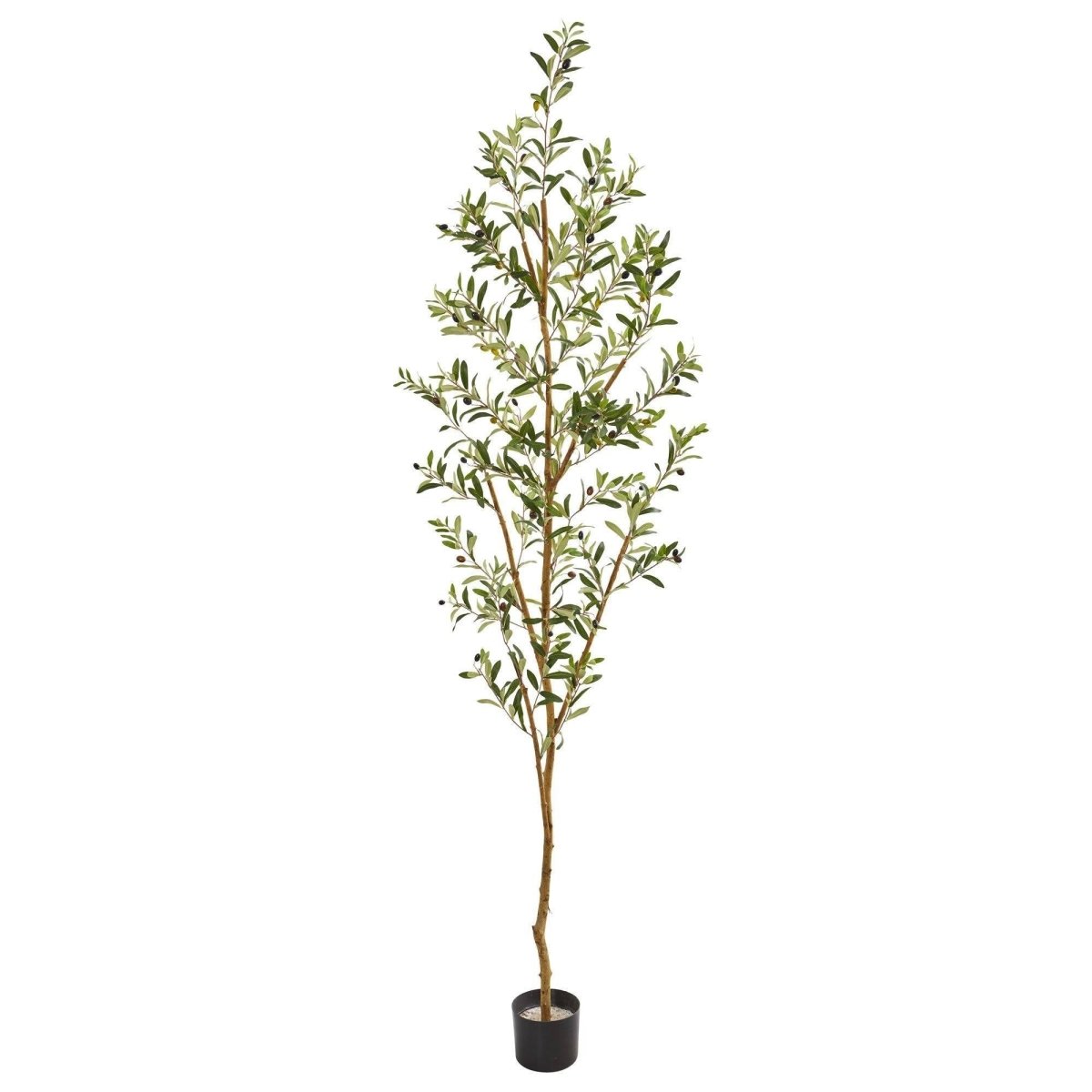 82" Artificial Olive Tree – Tall, Rustic & Lifelike Décor Accent - Ed's Plant Shop