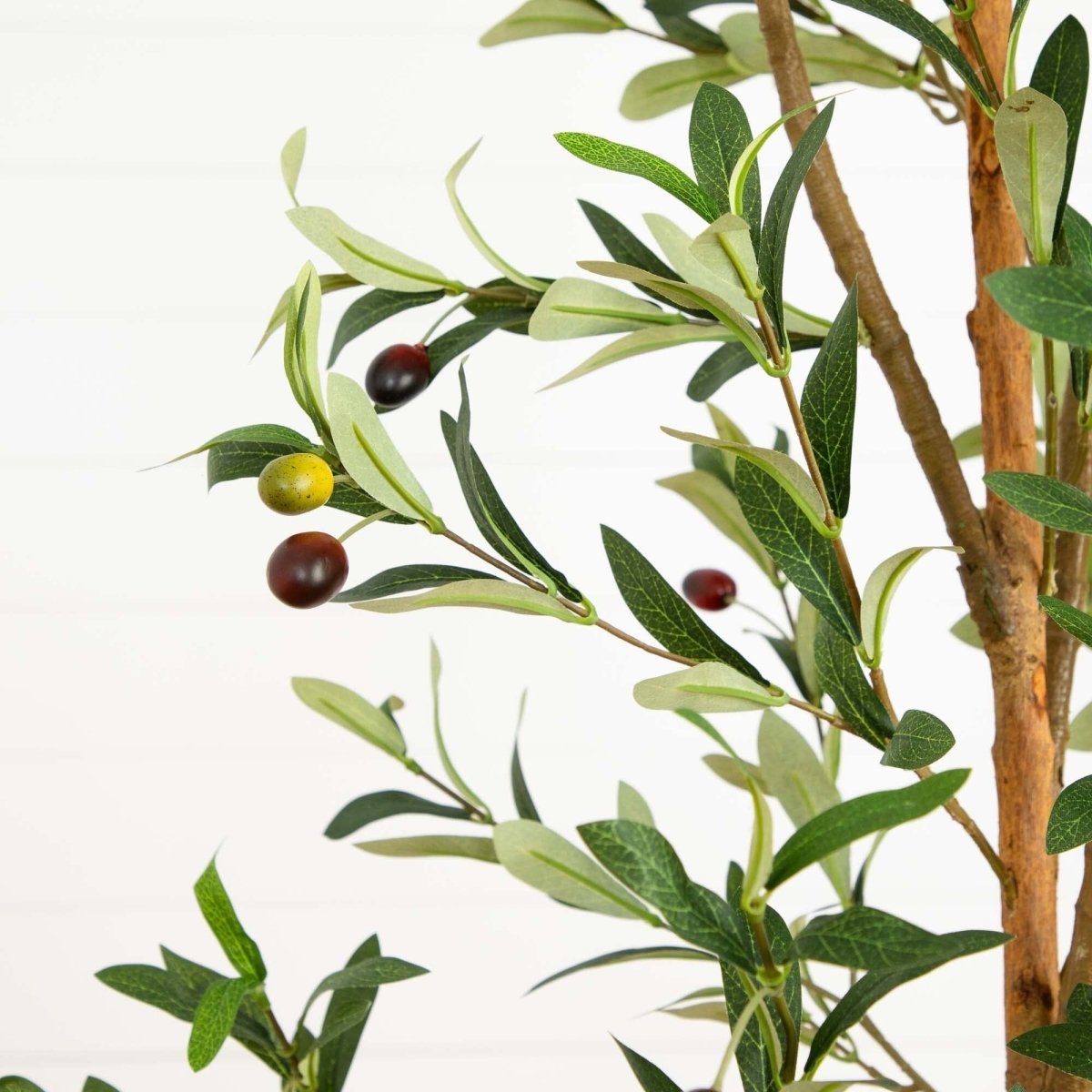 82" Artificial Olive Tree – Tall, Rustic & Lifelike Décor Accent - Ed's Plant Shop
