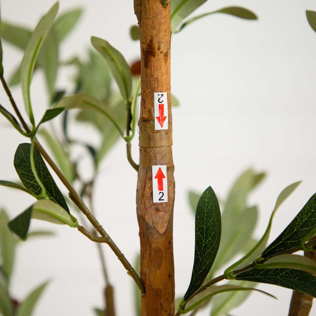 82" Artificial Olive Tree – Tall, Rustic & Lifelike Décor Accent - Ed's Plant Shop