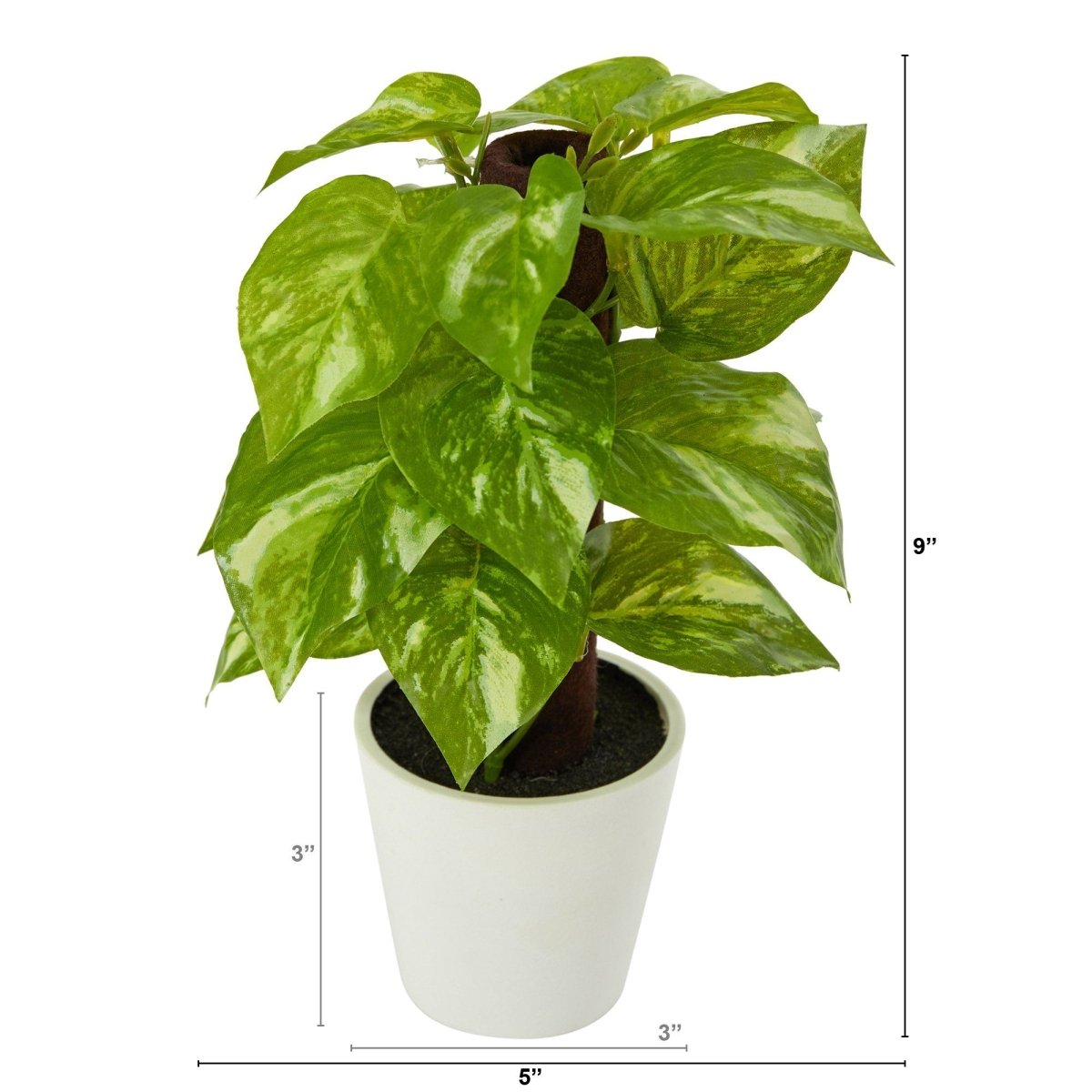 9” Artificial Pothos Plant in White Planter (Real Touch) - Ed's Plant Shop