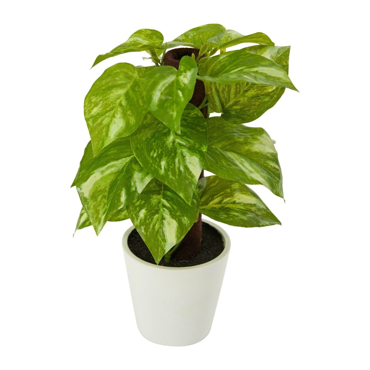 9” Artificial Pothos Plant in White Planter (Real Touch) - Ed's Plant Shop
