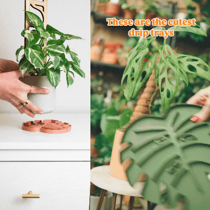 Tera SAUSR – Monstera Leaf Plant Saucer & Humidity Tray for Root Rot Prevention