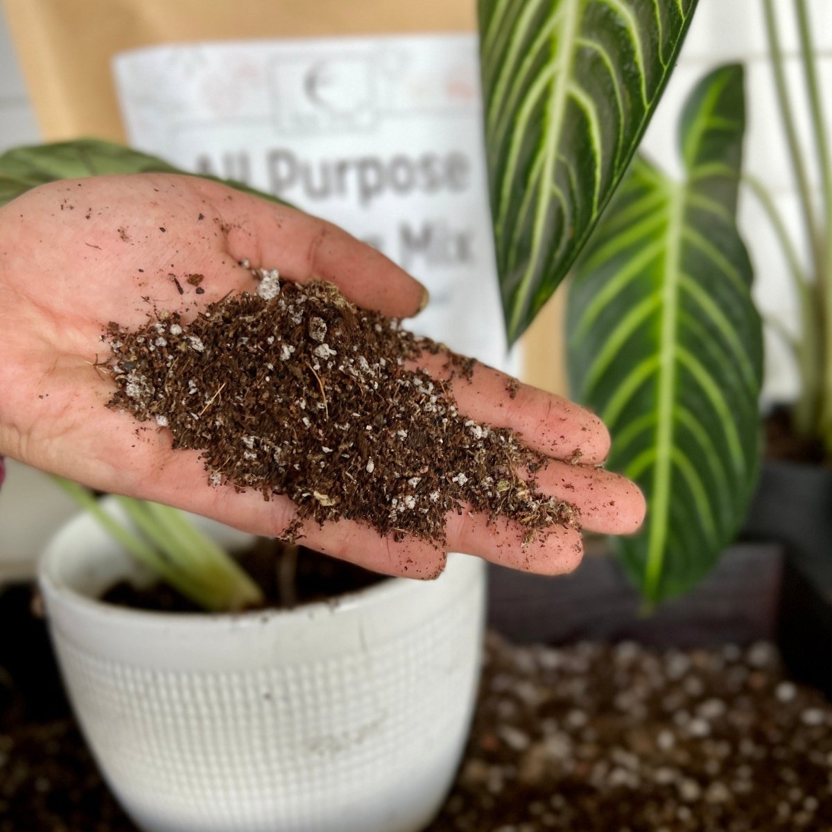 All - Purpose Soil Mix - Ed's Plant Shop