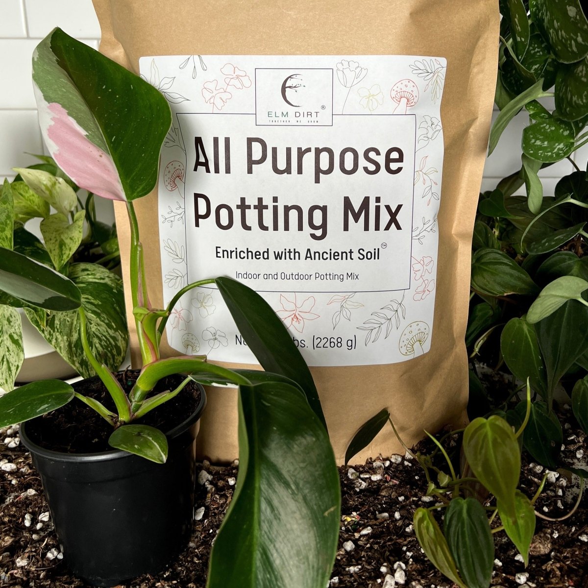 All - Purpose Soil Mix - Ed's Plant Shop
