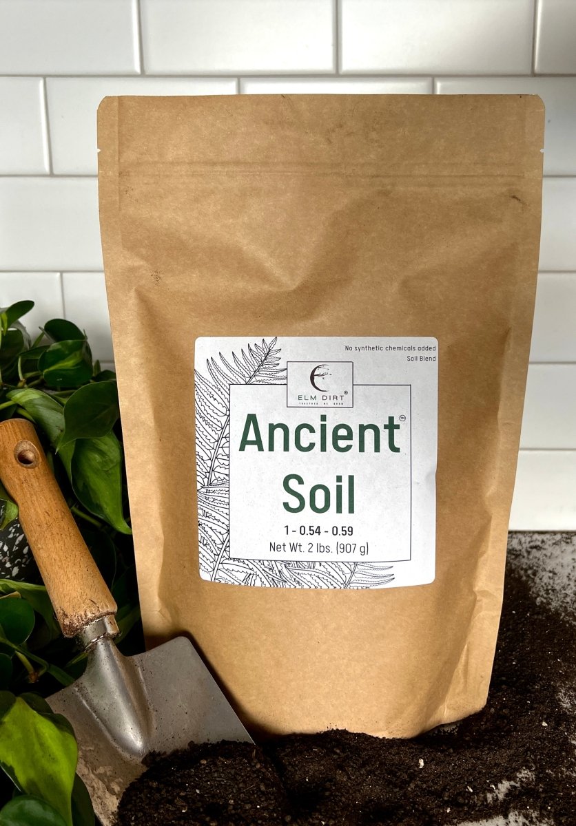 Ancient Soil - Premium Soil For Houseplants - Ed's Plant Shop