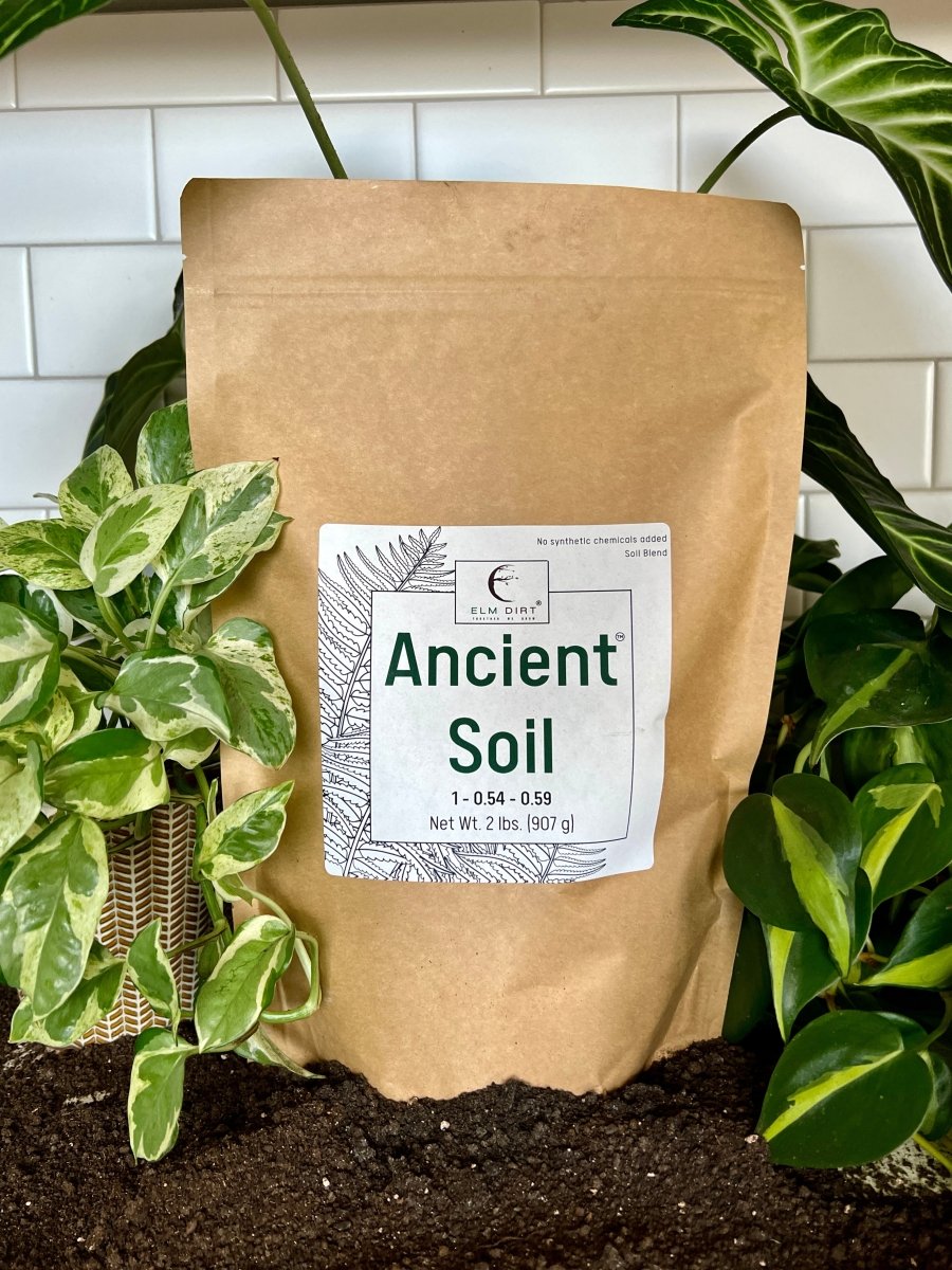 Ancient Soil - Premium Soil For Houseplants - Ed's Plant Shop