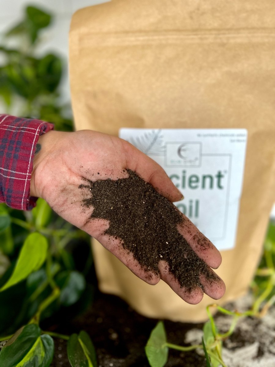Ancient Soil - Premium Soil For Houseplants - Ed's Plant Shop