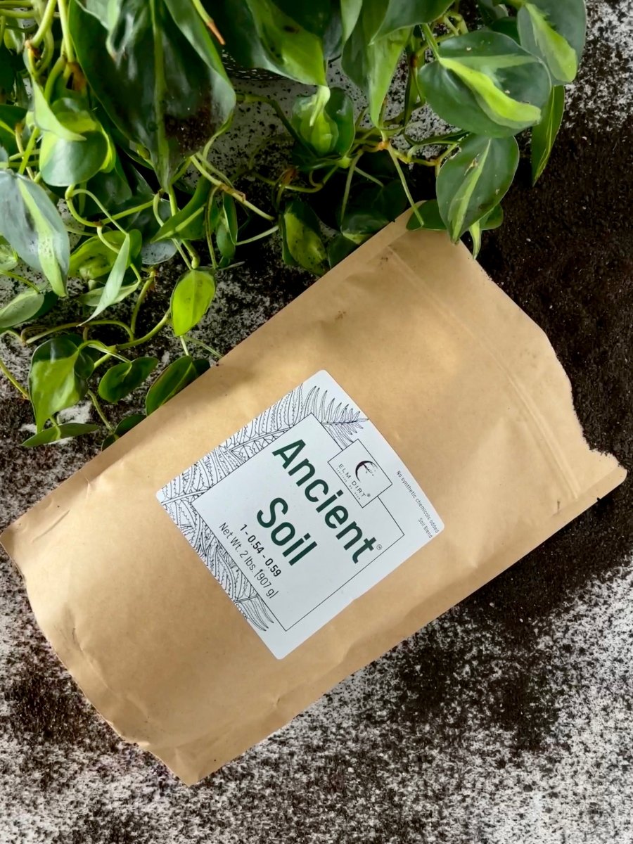 Ancient Soil - Premium Soil For Houseplants - Ed's Plant Shop