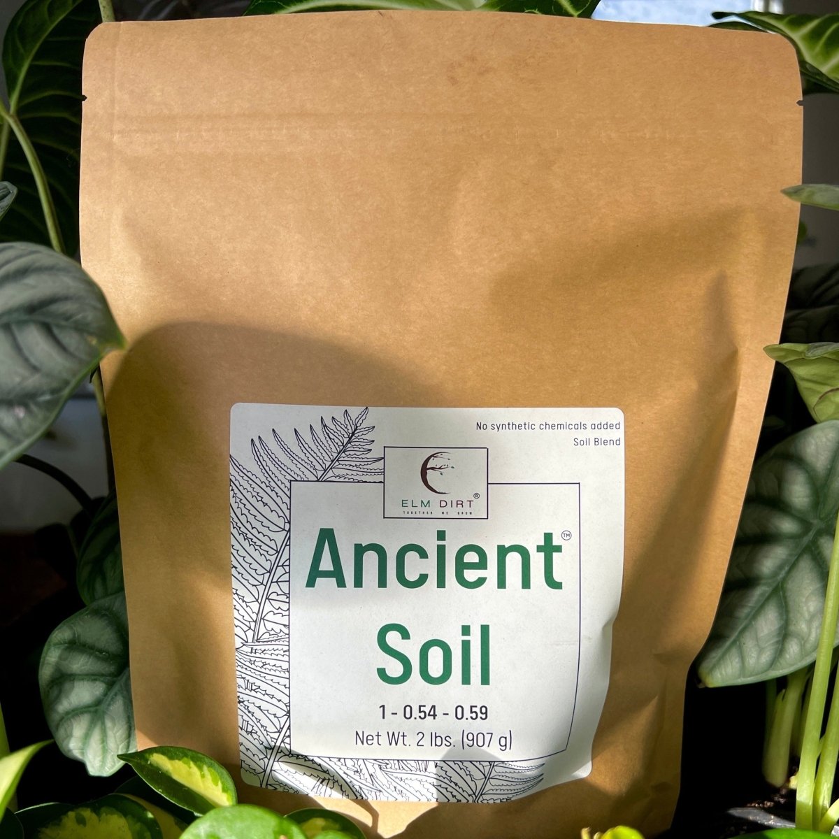 Ancient Soil - Premium Soil For Houseplants - Ed's Plant Shop