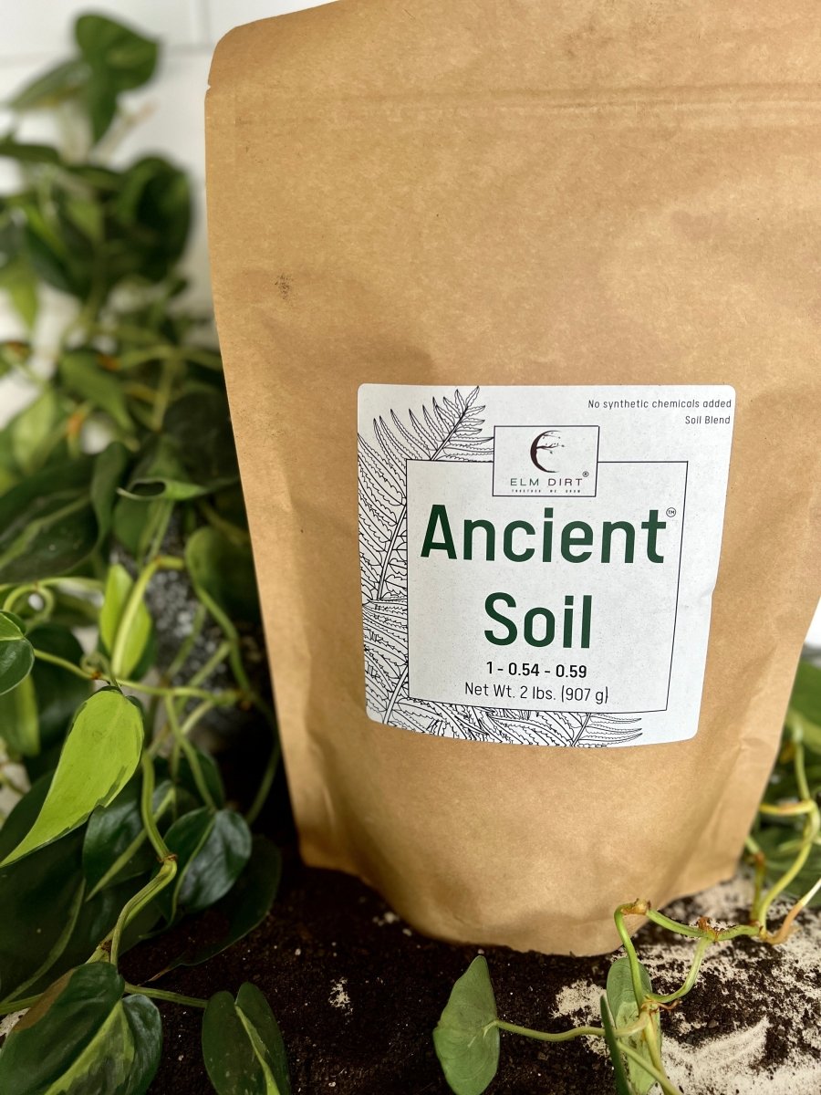 Ancient Soil - Premium Soil For Houseplants - Ed's Plant Shop