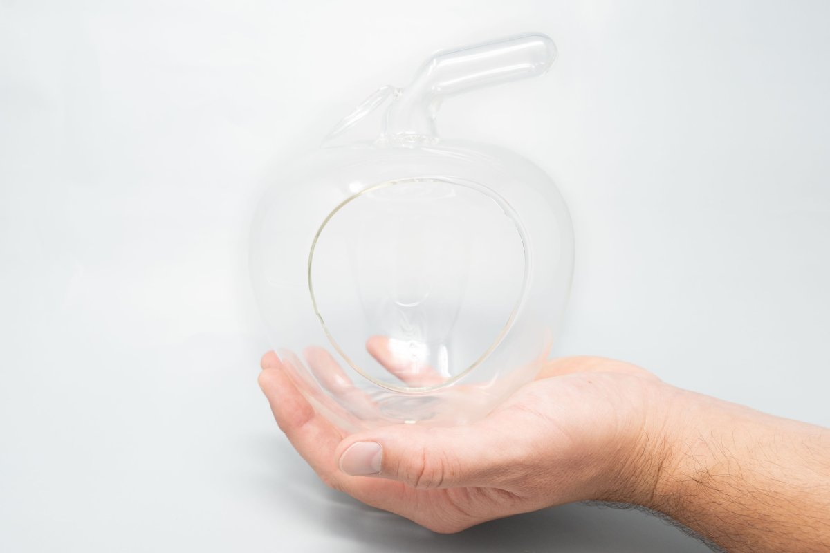 Apple Terrarium with Pebble Kit and Tillandsia Air Plants - Ed's Plant Shop