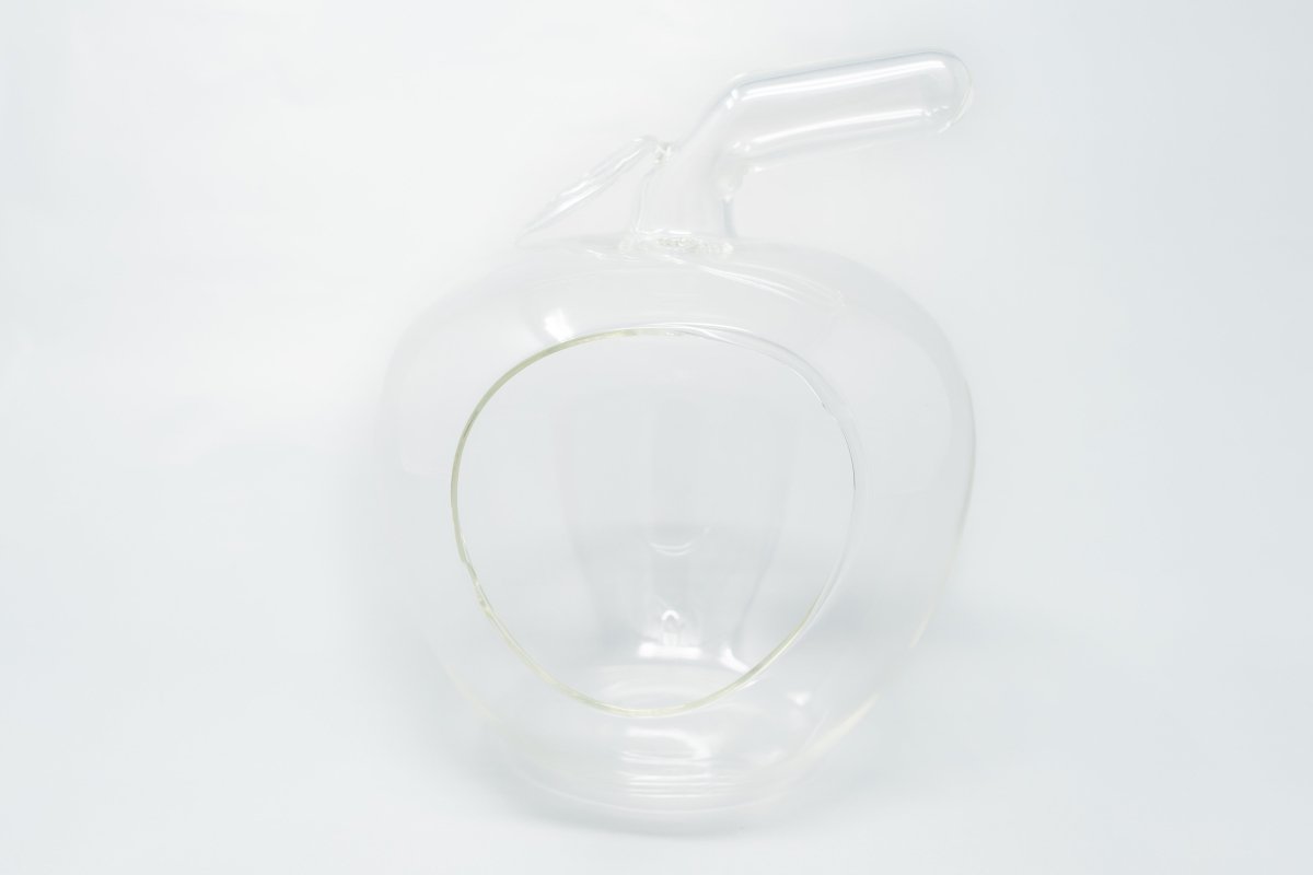 Apple Terrarium with Pebble Kit and Tillandsia Air Plants - Ed's Plant Shop