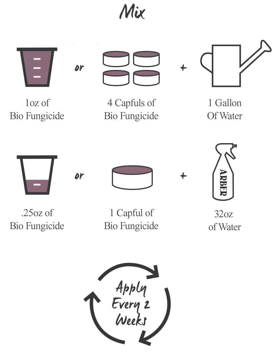 Arber Bio Fungicide – 16oz Concentrate - Ed's Plant Shop