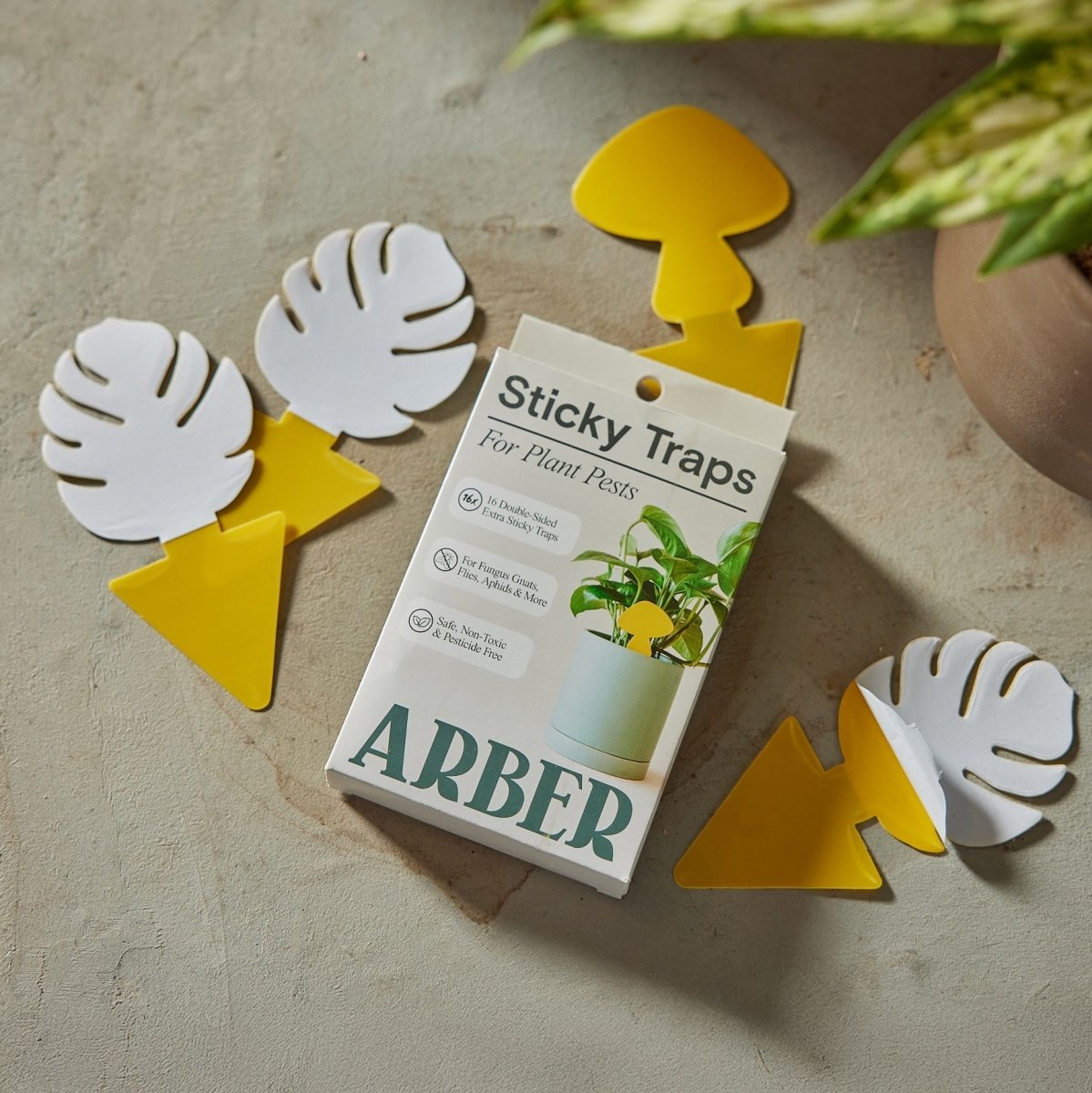 Arber Sticky Traps – 16 - Pack Plant Pest Control - Ed's Plant Shop