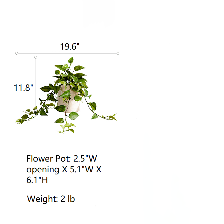 Artificial Devil's Ivy Plant in White Pot - Ed's Plant Shop