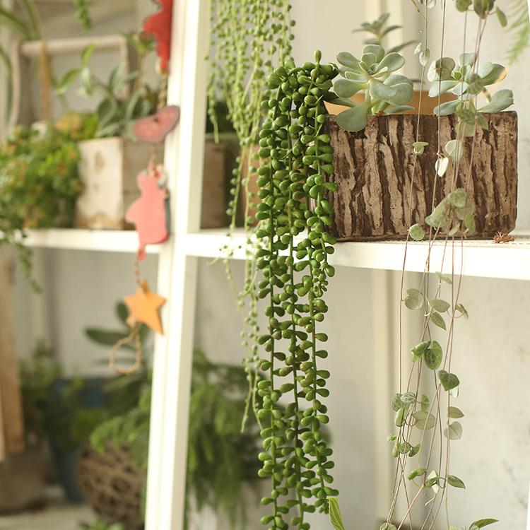 Artificial Hanging Succulent โ 28" Teardrop (Real - Touch Finish) - Ed's Plant Shop