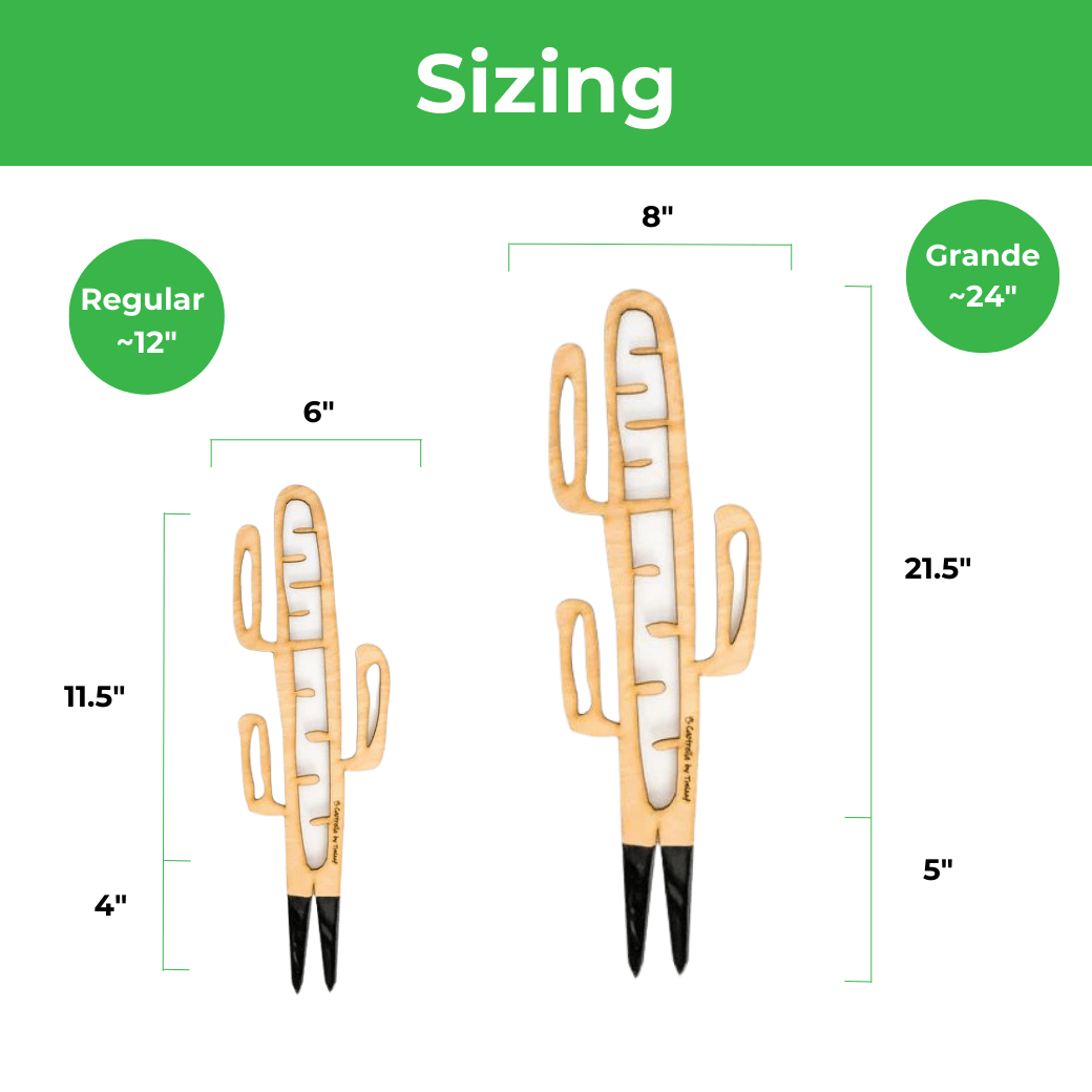 BARE™ Cactrella™ - Customizable wooden plant support - Inspired by the Barrel Cactus - Ed's Plant Shop