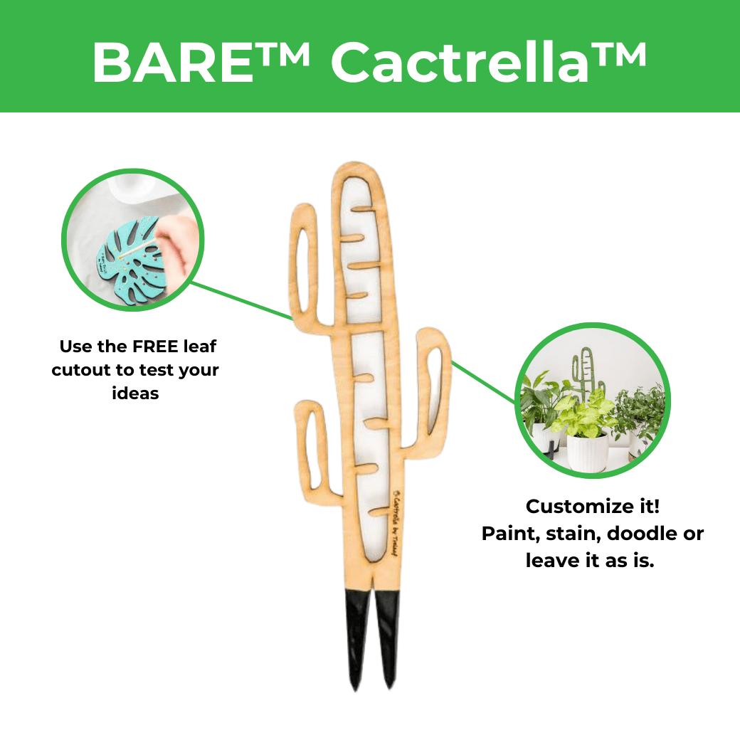 BARE™ Cactrella™ - Customizable wooden plant support - Inspired by the Barrel Cactus - Ed's Plant Shop