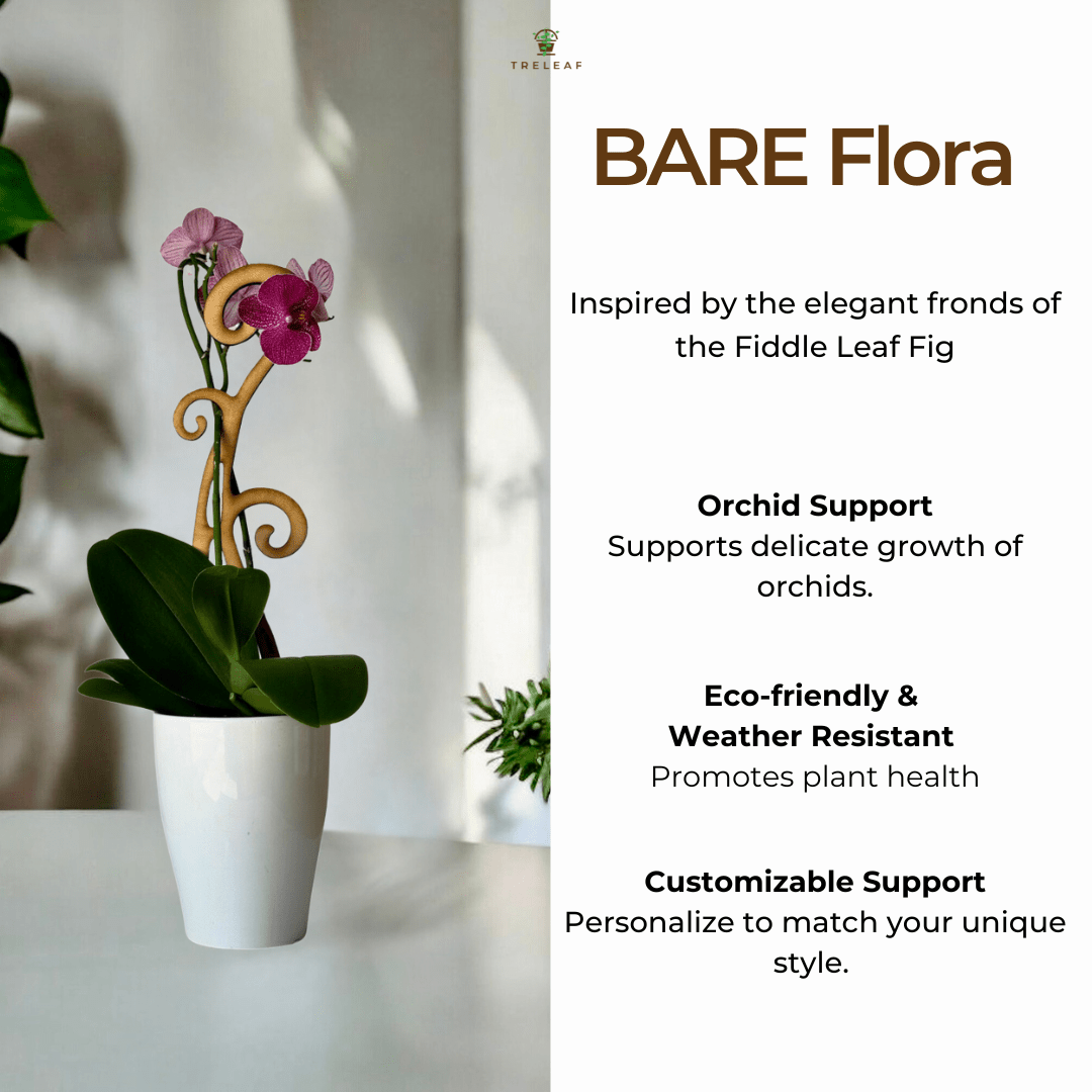 BARE™ Flora™ – Customizable Wooden Floral Plant Trellis for Indoor Climbing Plants - Ed's Plant Shop
