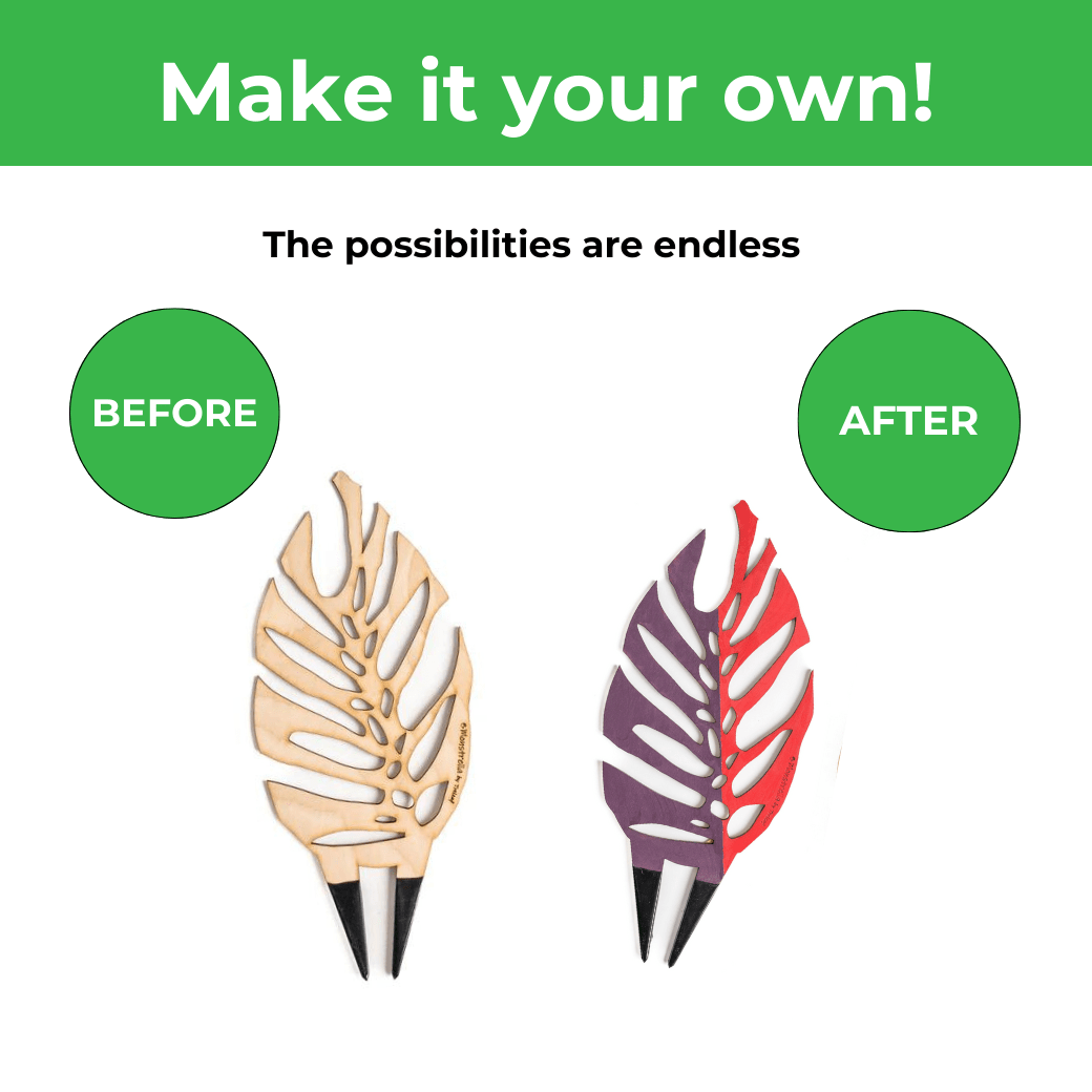 BARE™ Monstrella™ – Customizable Wooden Plant Trellis for Indoor Climbing Plants - Ed's Plant Shop