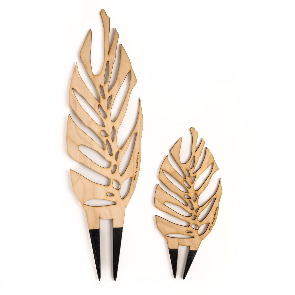 BARE™ Monstrella™ – Customizable Wooden Plant Trellis for Indoor Climbing Plants - Ed's Plant Shop