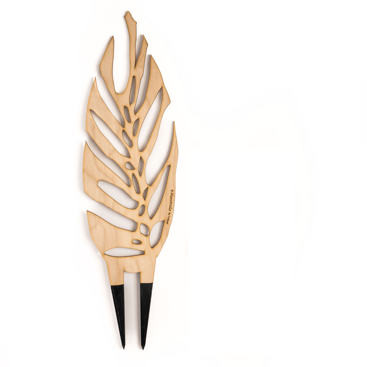 BARE™ Monstrella™ – Customizable Wooden Plant Trellis for Indoor Climbing Plants - Ed's Plant Shop