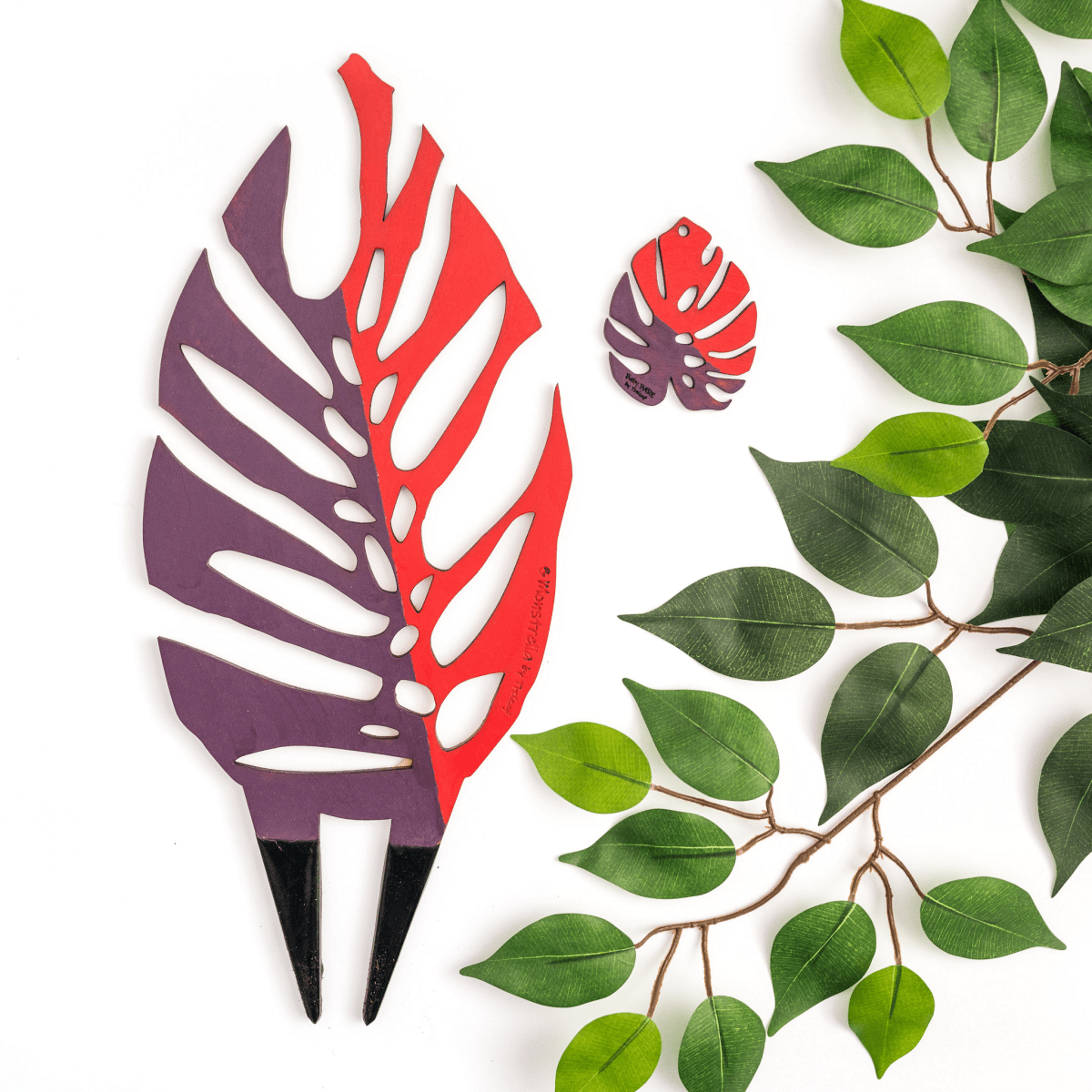 BARE™ Monstrella™ – Customizable Wooden Plant Trellis for Indoor Climbing Plants - Ed's Plant Shop