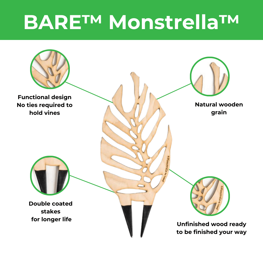 BARE™ Monstrella™ – Customizable Wooden Plant Trellis for Indoor Climbing Plants - Ed's Plant Shop