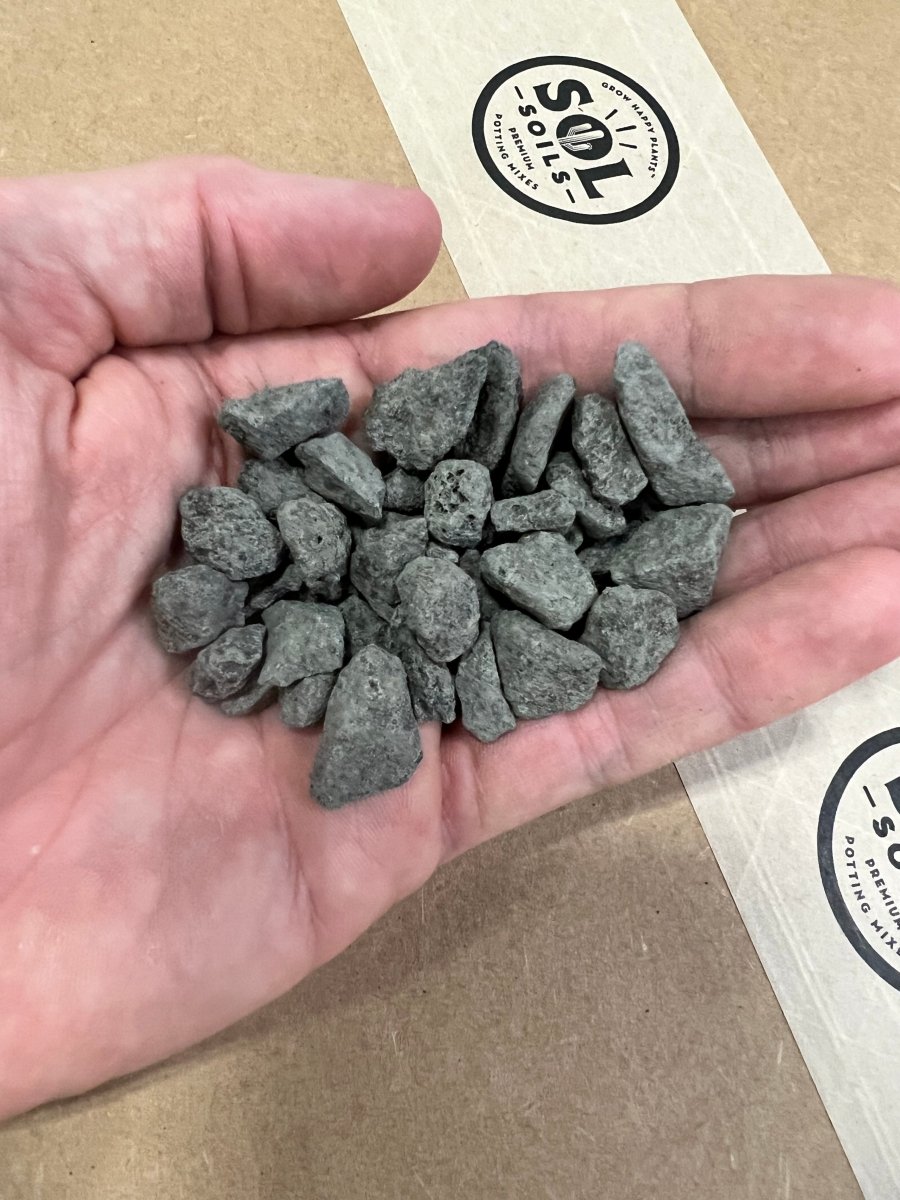 Handful of Lava Rock Soil Amendment – Lightweight Volcanic Rock - Ed's Plant Shop