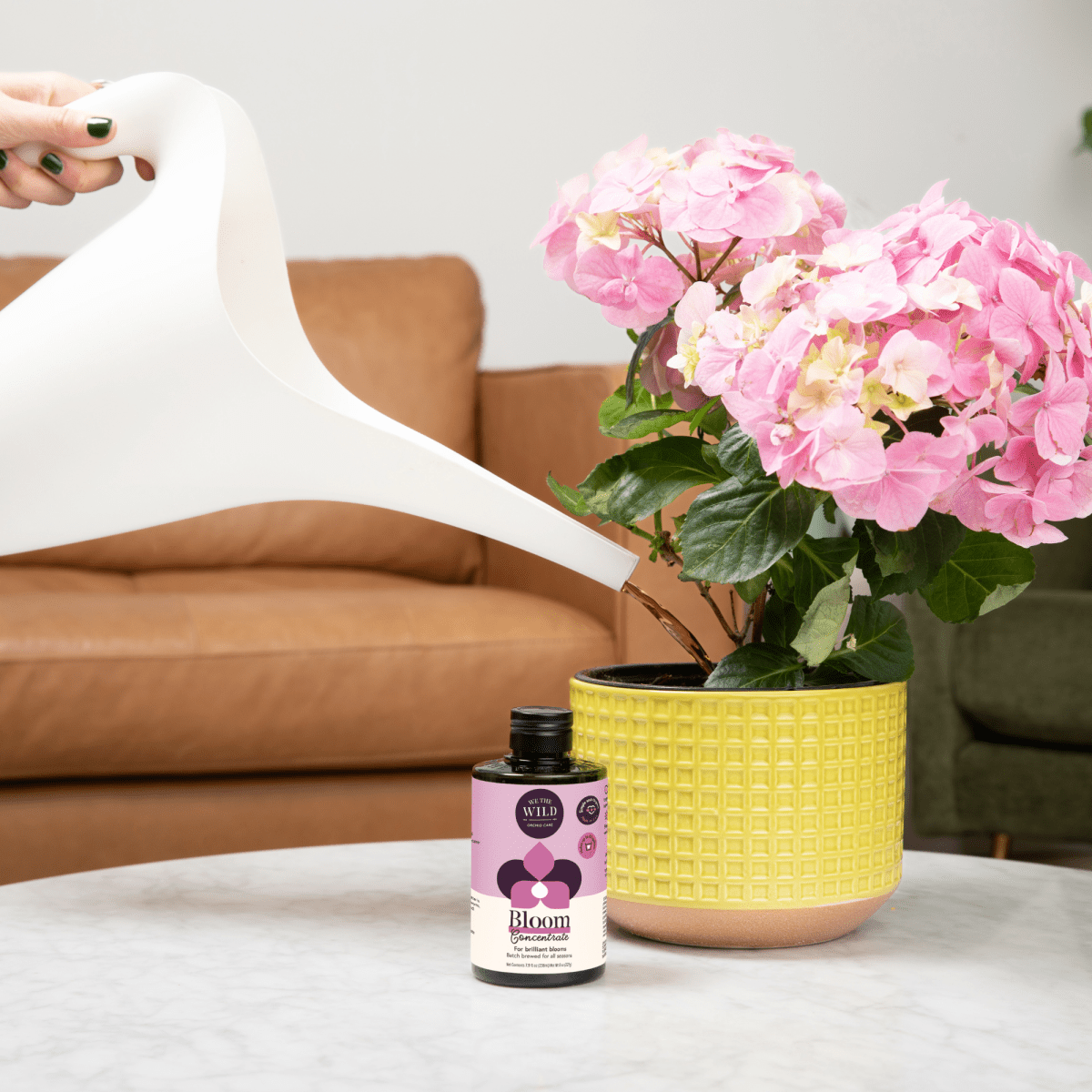 Bloom Concentrate (8 fl oz) - Ed's Plant Shop