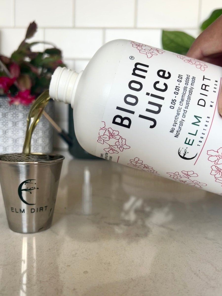 Bloom Juice - Blossom Boosting Fertilizer - Ed's Plant Shop