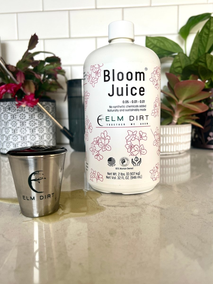 Bloom Juice - Blossom Boosting Fertilizer - Ed's Plant Shop