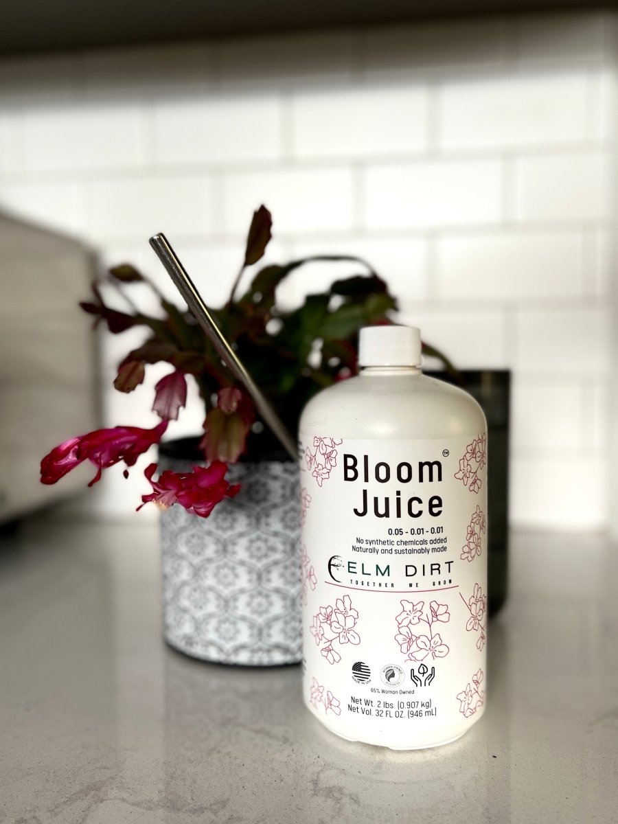 Bloom Juice - Blossom Boosting Fertilizer - Ed's Plant Shop