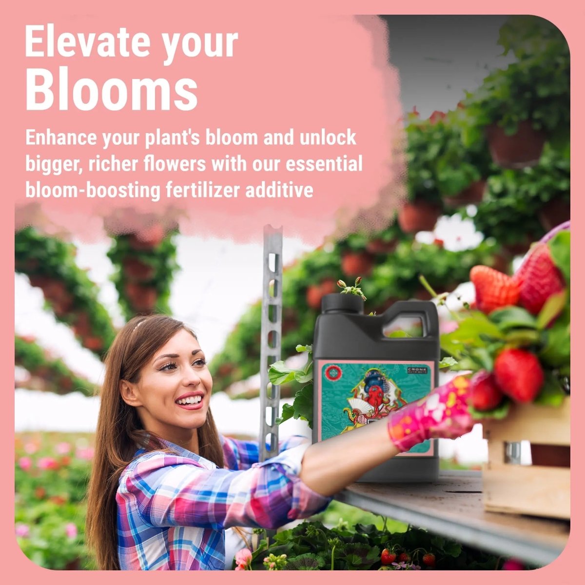 Bud Booster | Bigger Buds and Increased Yields - Ed's Plant Shop