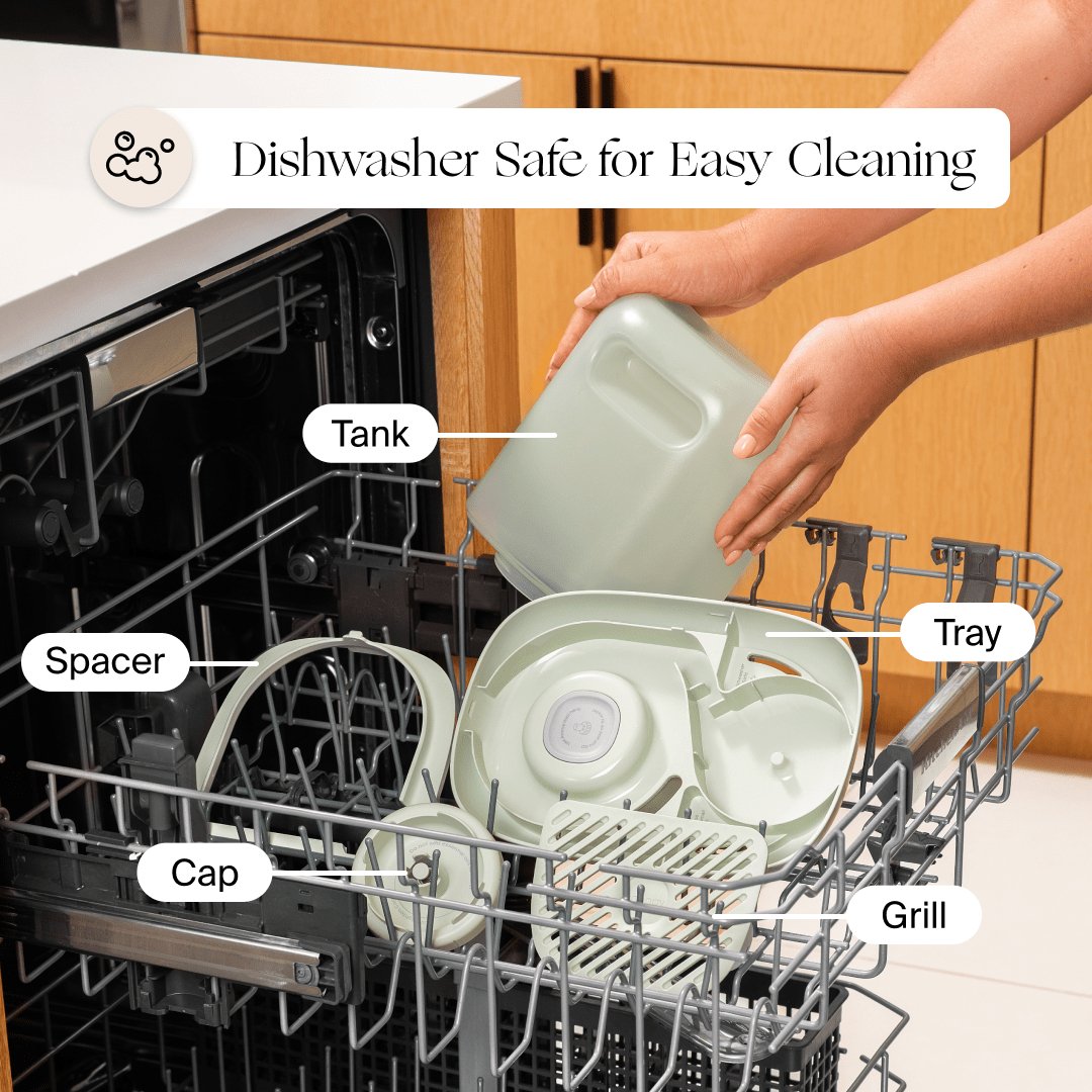 Canopy Bedside Humidifier 2.0 – filter access and dishwasher-safe parts removed for easy cleaning