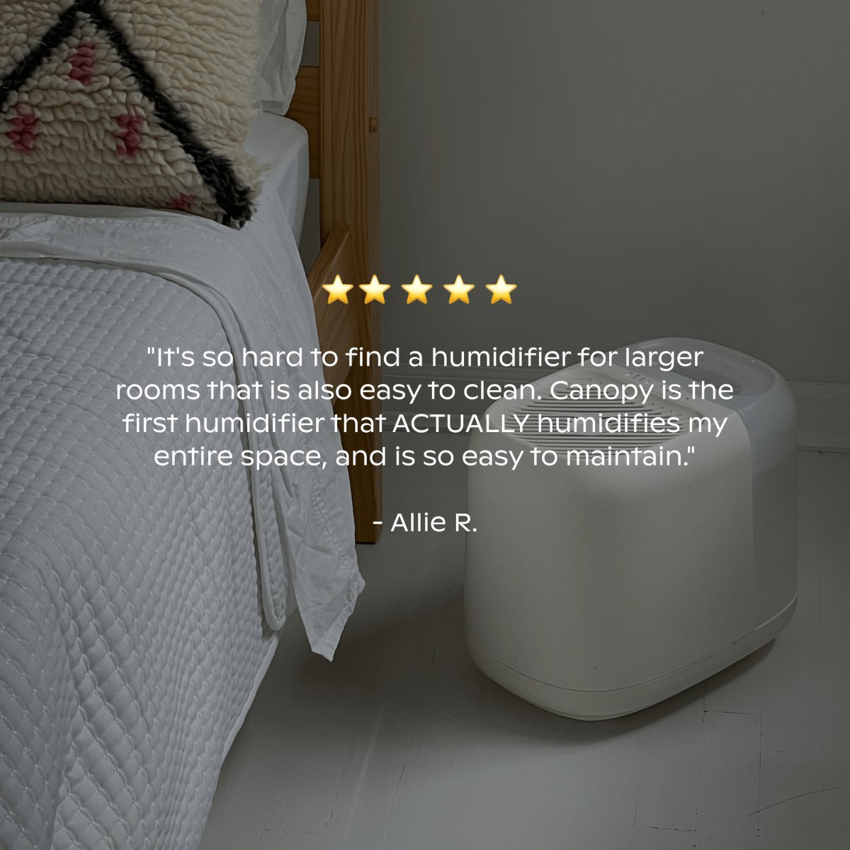 Canopy Humidifier customer review near bedside adding moisture to air for hydrated skin, better sleep, and healthier indoor plants