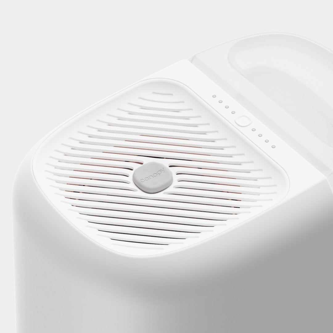 Canopy Large Room Humidifier – top-view of water tank lid and controls, white variant