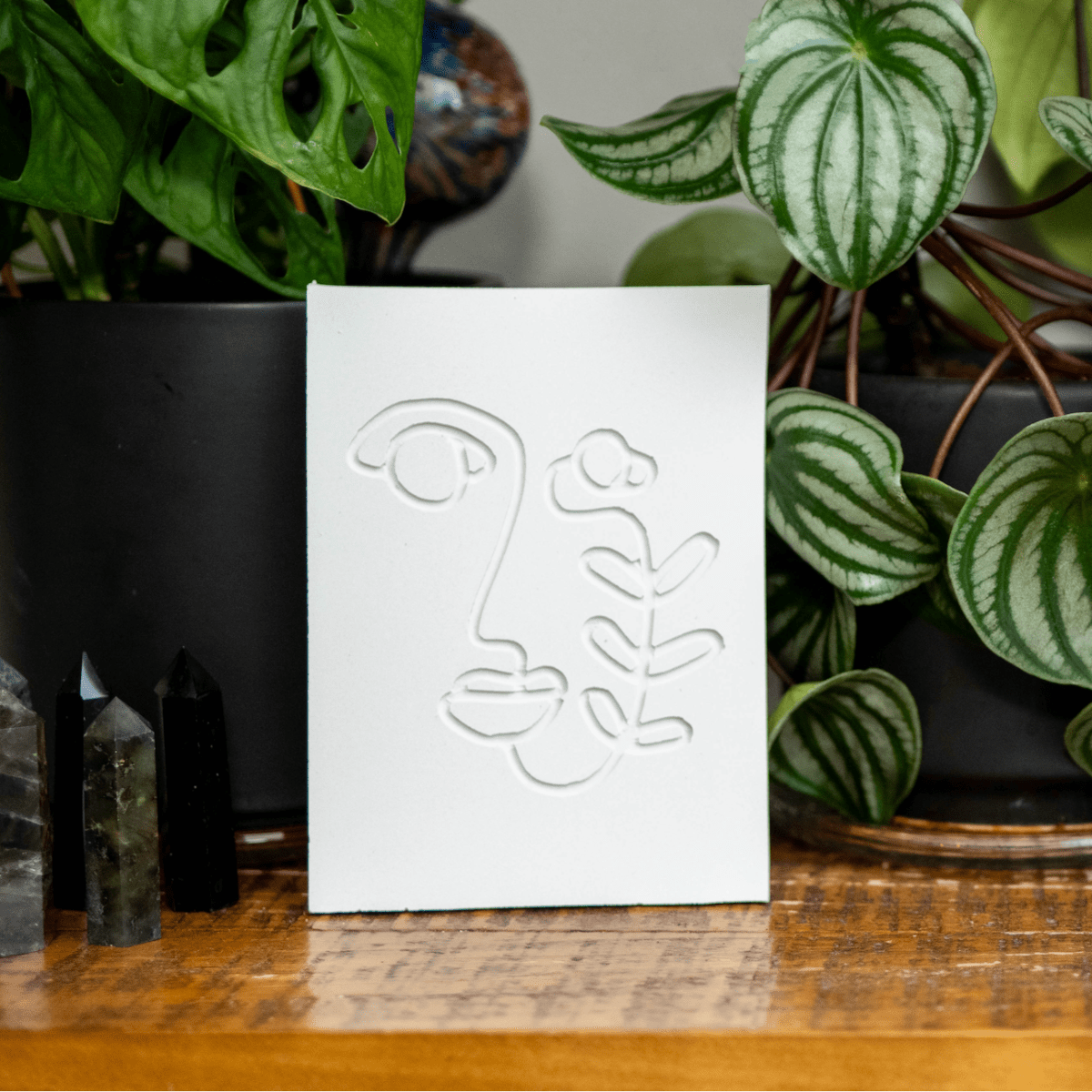 Cement Line Art Kit - Ed's Plant Shop