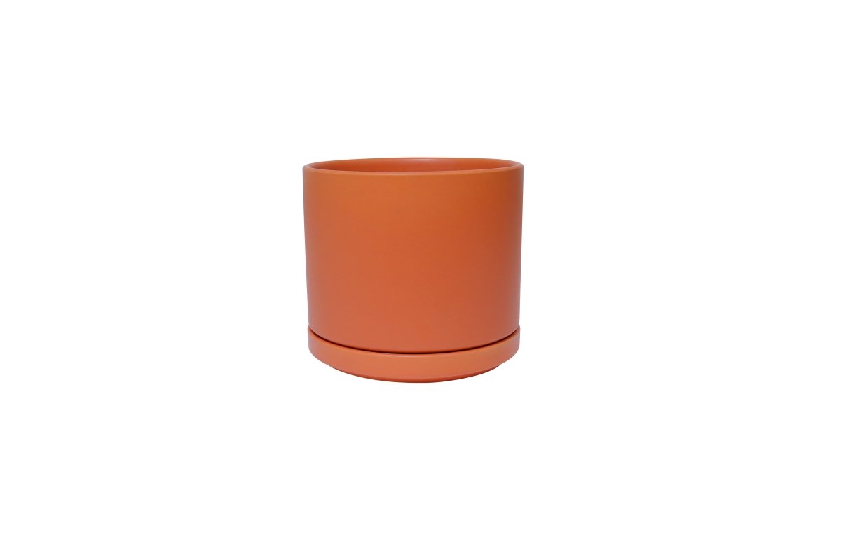 Ceramic Cylinder Planters with Saucer – Modern Indoor & Outdoor Pots in Multiple Sizes - Ed's Plant Shop