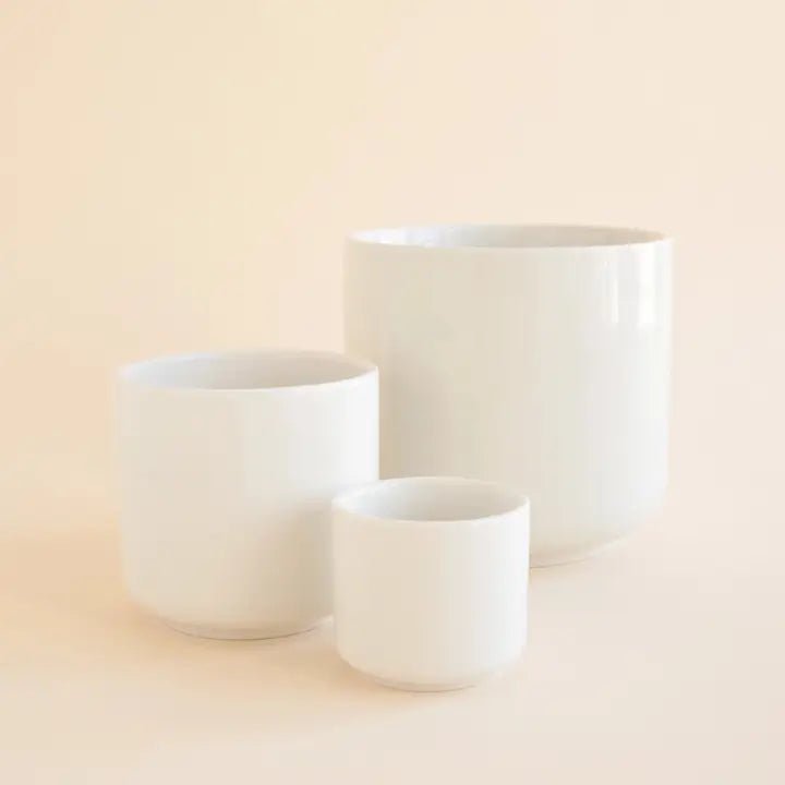 charlie plant pot Parsons Ceramic Pot Planter Size: 6.75" H x 7" W x 7" D, Color: White