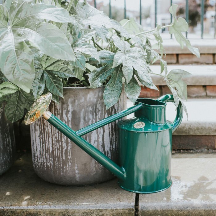 Classic Large Haws Watering Can – Bearwood Brook (1 or 2 Gallon) - Ed's Plant Shop