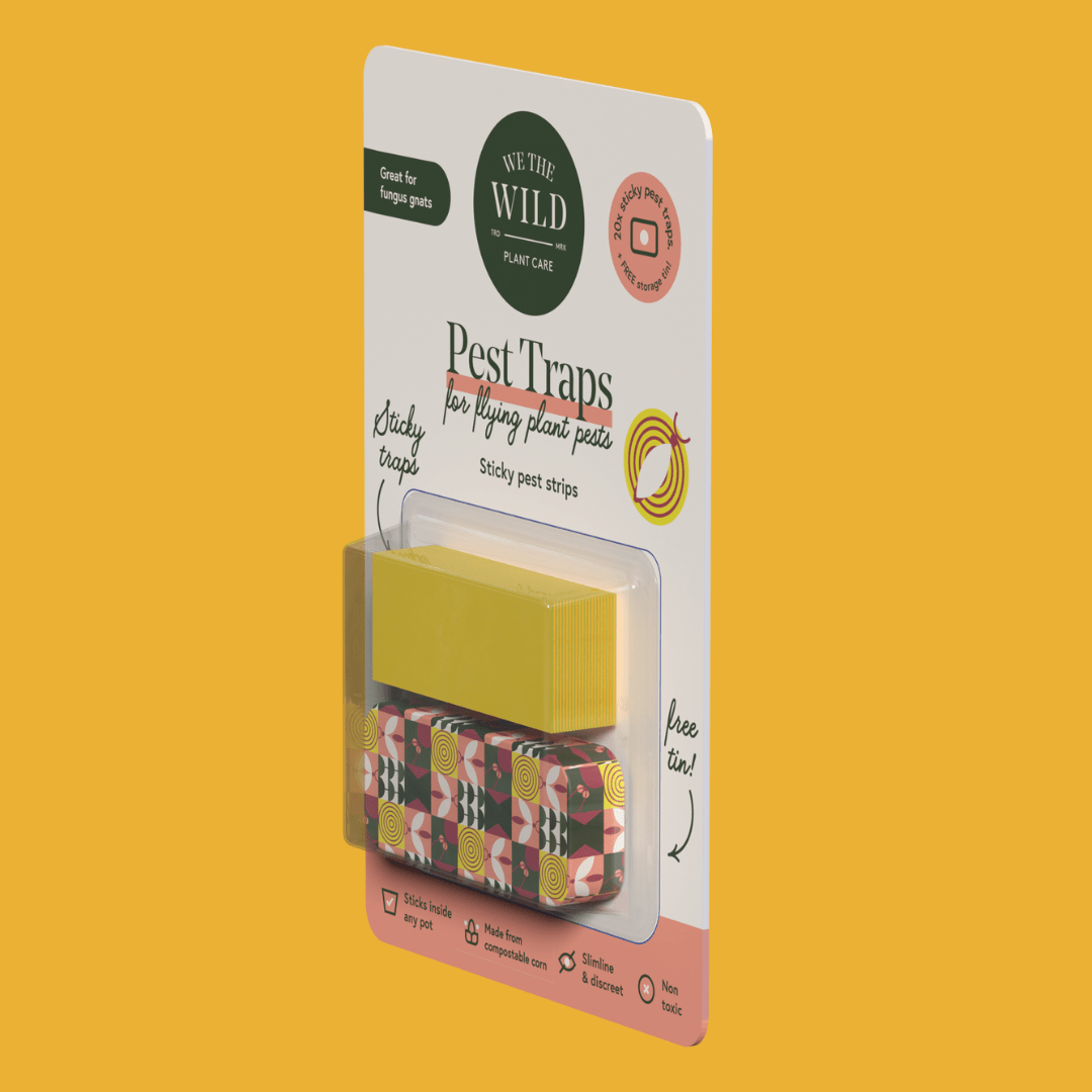 Compostable Gnat Traps – Non - Toxic, Plant - Safe Pest Control - Ed's Plant Shop