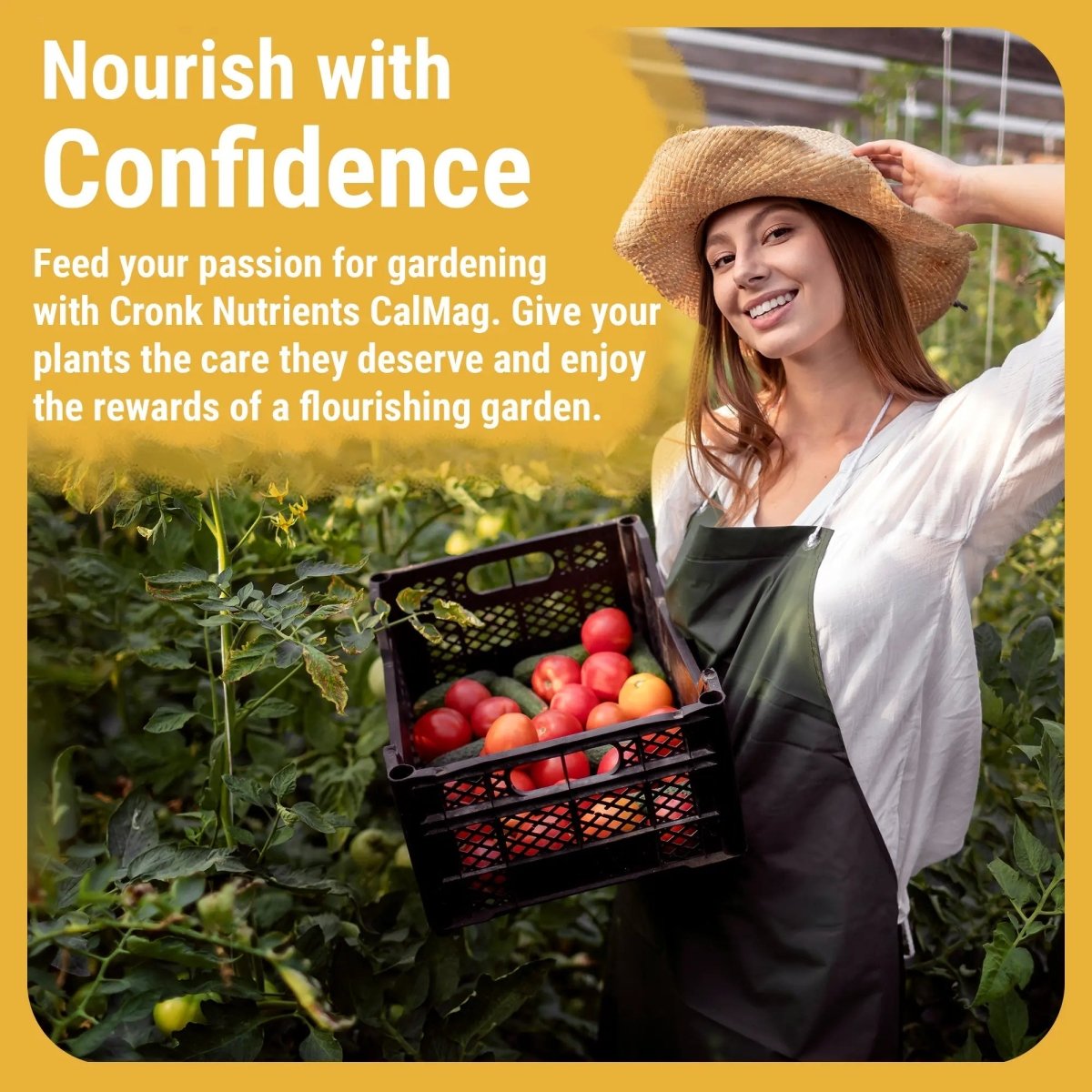 Cronk Nutrients CalMag 2 - 0 - 0 | Calcium, Magnesium & Iron Plant Supplement - Ed's Plant Shop